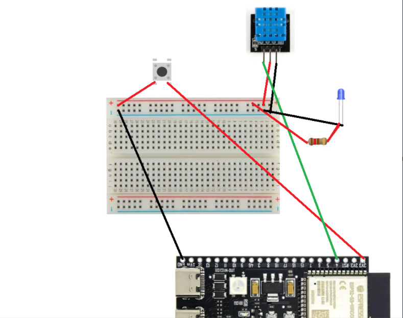 the wiring